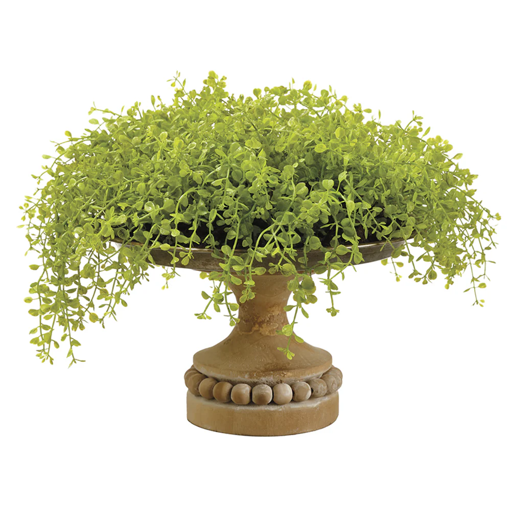 10.5" Artificial Baby's Tear Fern Plant w/Footed Wood Tray -Green