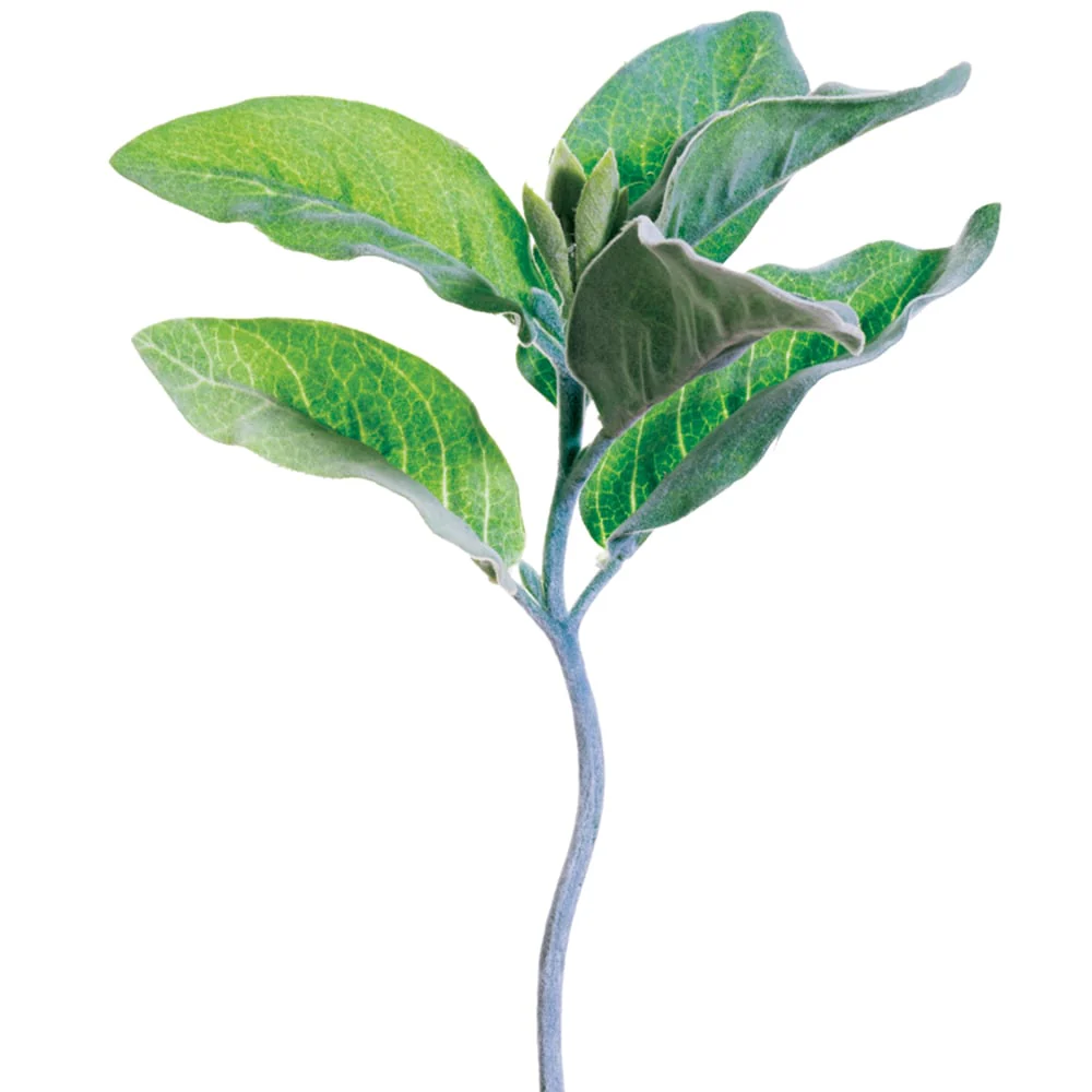 10.5" Lamb's Ear Silk Stem -Green (Pack of 12)