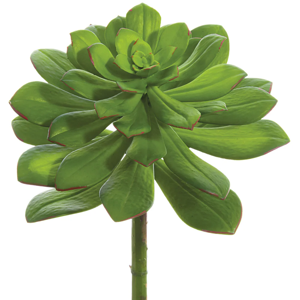10.5"Hx8"W Echeveria Artificial Stem Pick -Green (Pack of 6)