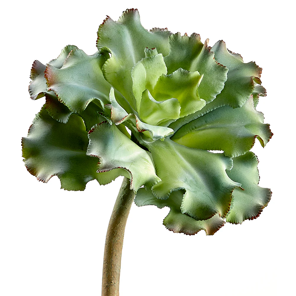 10" Artificial Ruffled Echeveria Stem Pick -Green/Gray (Pack of 6)