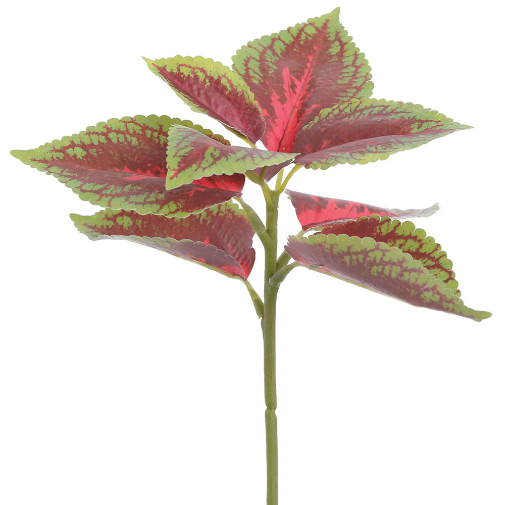 10" Coleus Leaf Silk Stem -Burgundy/Green (Pack of 24)