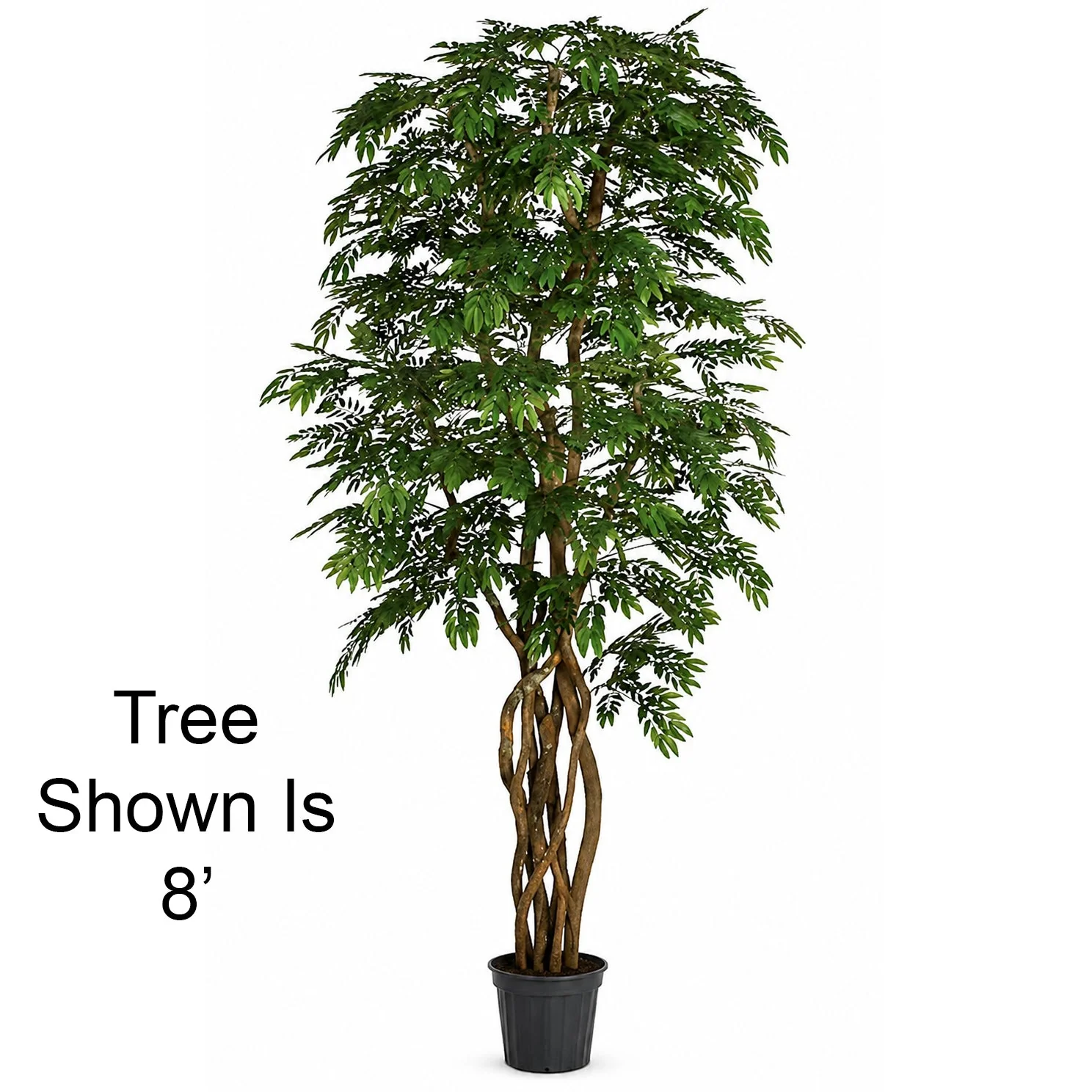 10' Custom-Made Locust Artificial Tree w/Pot -15,120 Leaves -Green