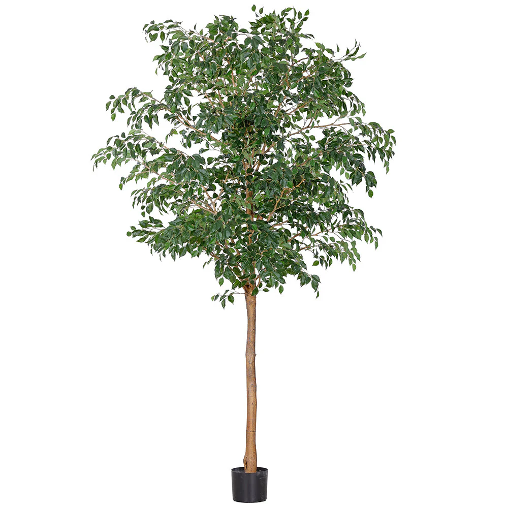 10' Ficus Benjamina Leaf Silk Tree w/Pot -Green