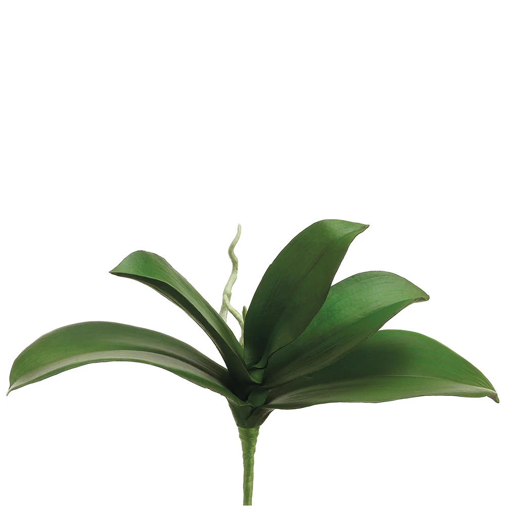 10" Hand-Wrapped Silk Phalaenopsis Orchid Leaf Plant Stem -Green (Pack of 12)