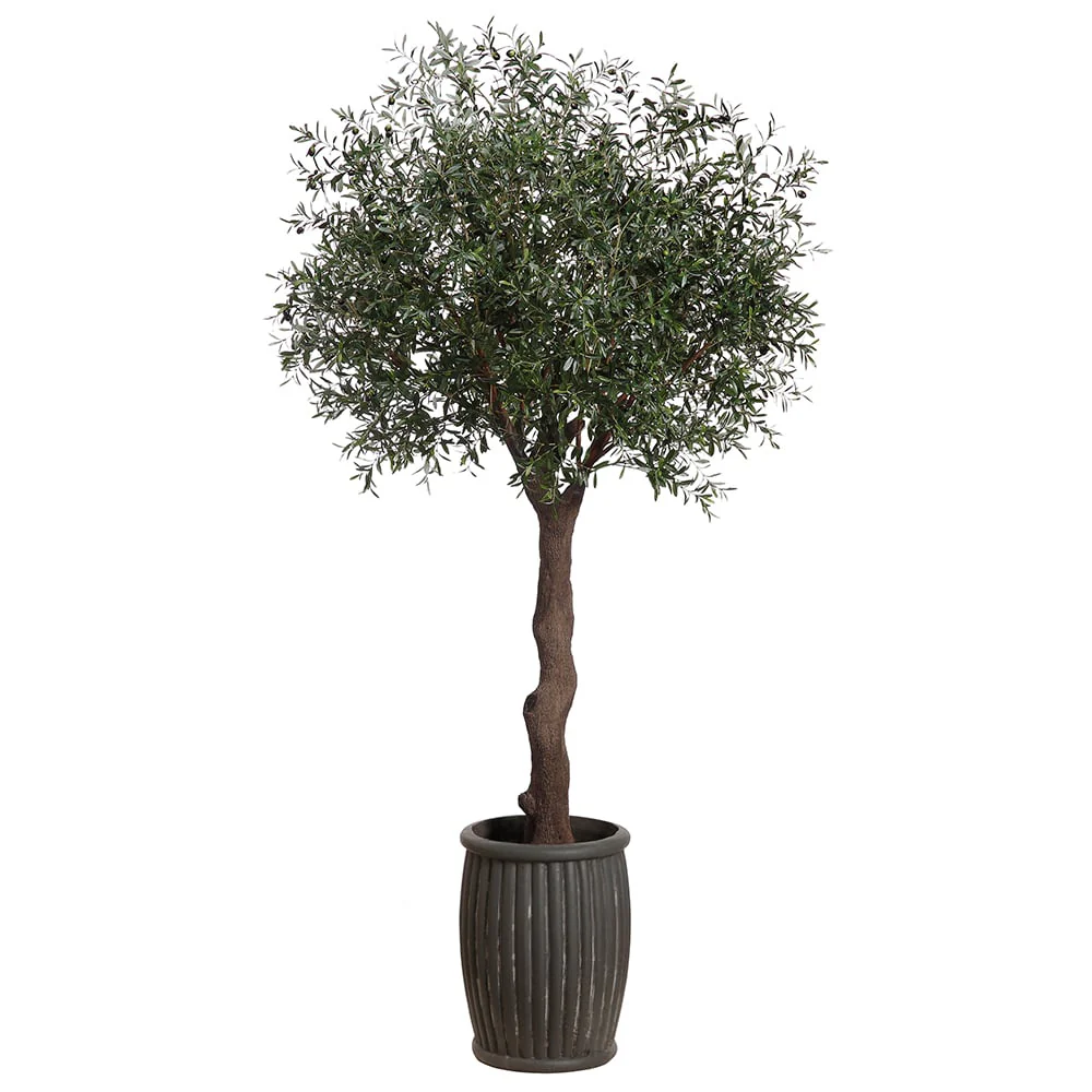 10' Olive Silk Tree w/Fiber Cement Planter -Green
