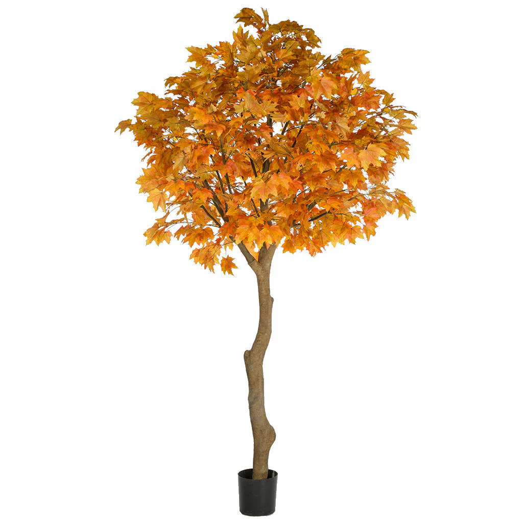 10'6" Large Silk Sugar Maple Tree w/Pot -Orange/Red