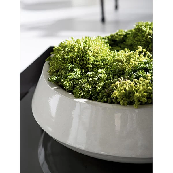 10"Hx20"W Sedum, Baby's Breath & Berry Artificial Flower Arrangement w/Planter -Green - Image 3