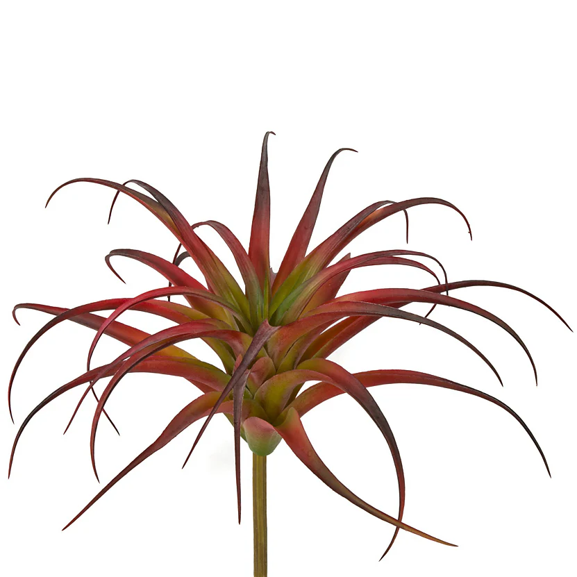 11.5" Artificial Tillandsia Air Plant -Red/Green (Pack of 6)