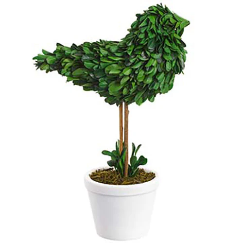 11.5" Preserved Boxwood Bird-Shaped Topiary w/Clay Pot -Green