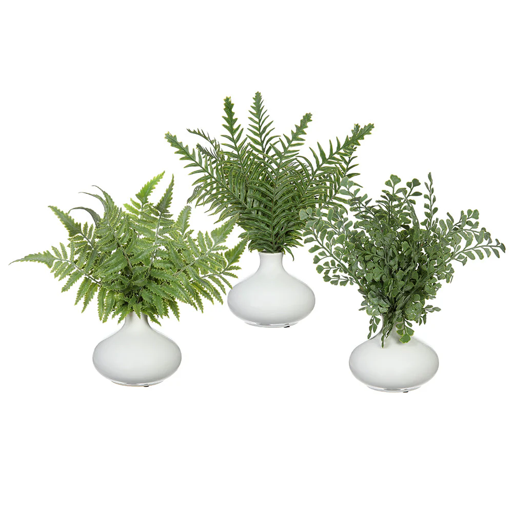11.5" Set Of Ferns Artificial Plant w/Ceramic Vase -Green (Pack of 2)