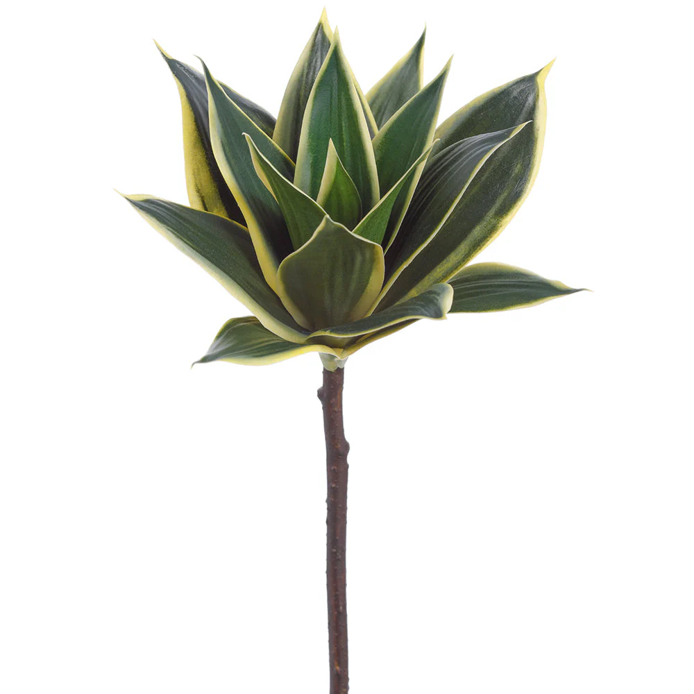 11" Agave Cactus Artificial Stem Pick -Green/Variegated (Pack of 12)