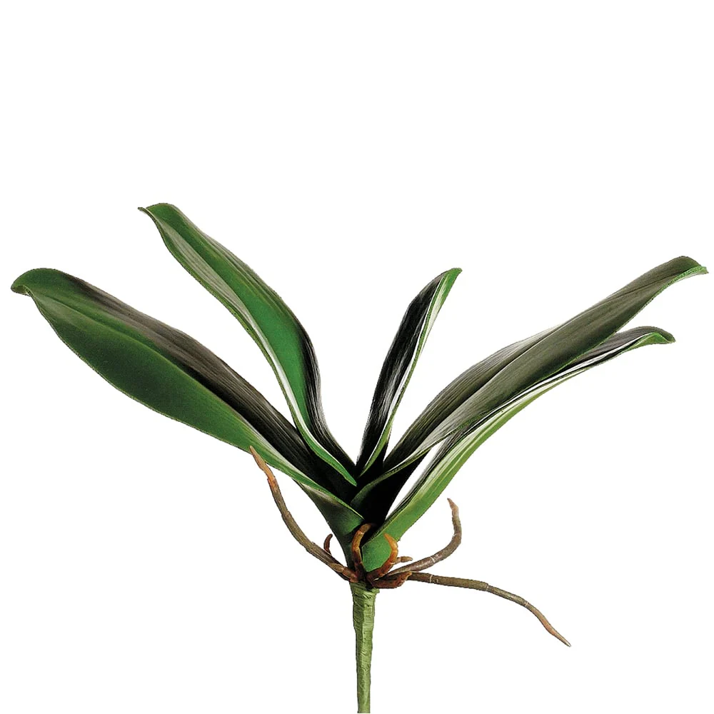 11" Hand-Wrapped Silk Phalaenopsis Orchid Leaf Plant Stem -Green (Pack of 12)