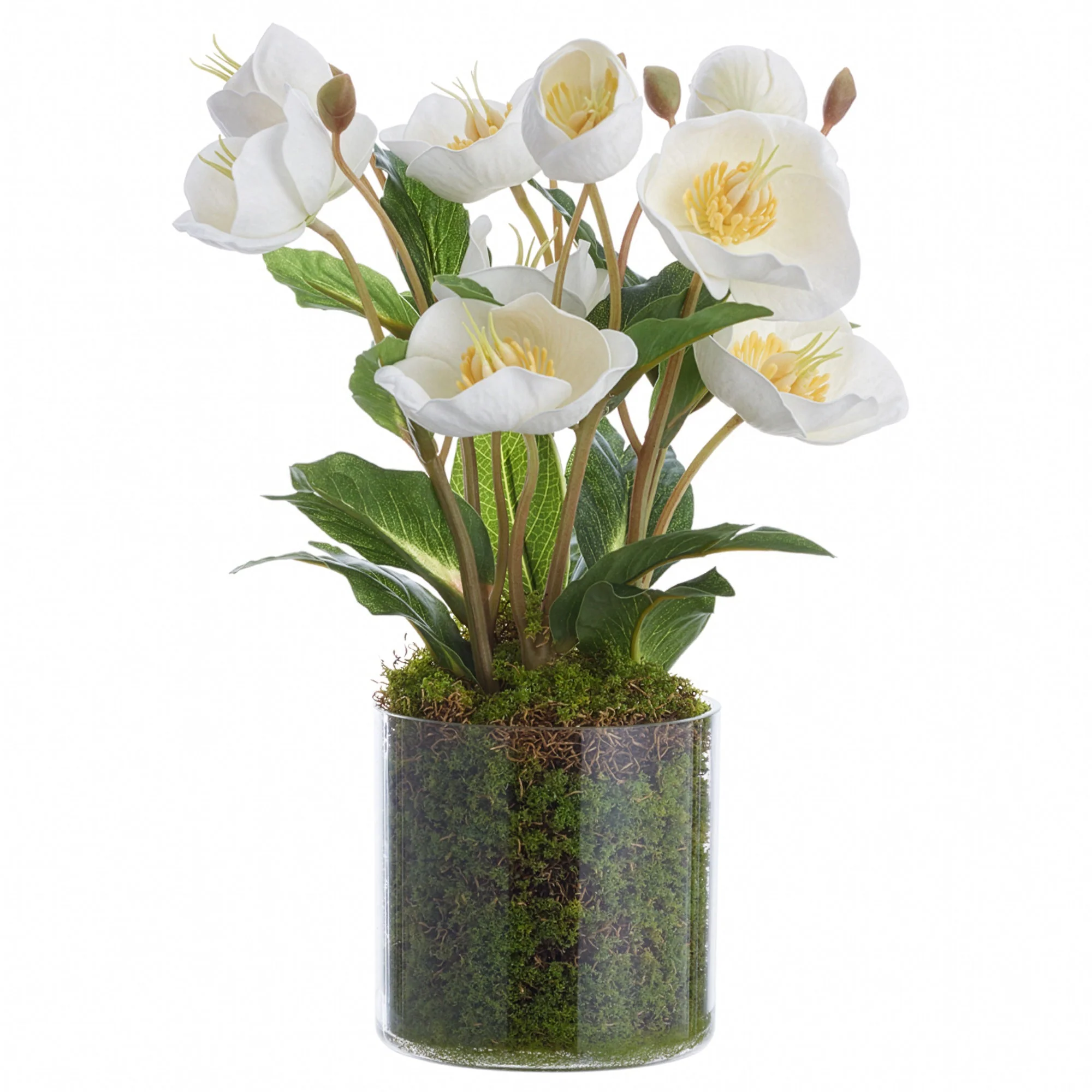 11" Helleborus Silk Flower Arrangement w/Clear Plastic Vase -White (Pack of 12)