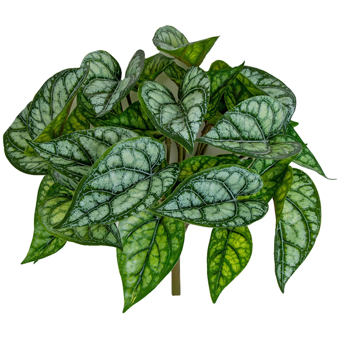 11" Outdoor UV-Resistant Artificial Peperomia Argyreia Plant -2 Tone Green (Pack of 12)