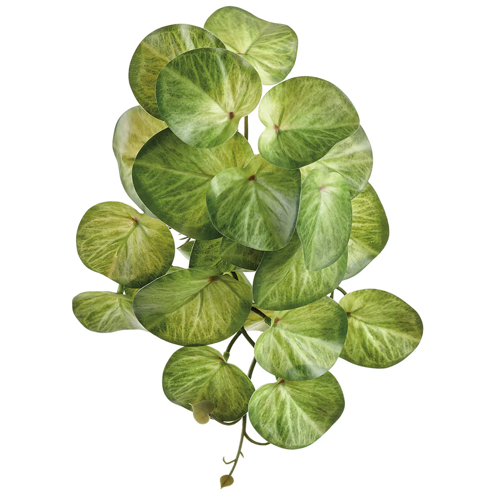 11" Silk Stephania Erecta Leaf Plant -2 Tone Green (Pack of 12)