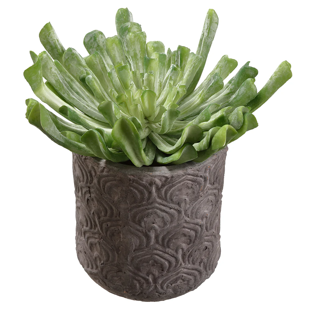11"Hx10" Artificial Echeveria Succulent Plant w/Pot -Green