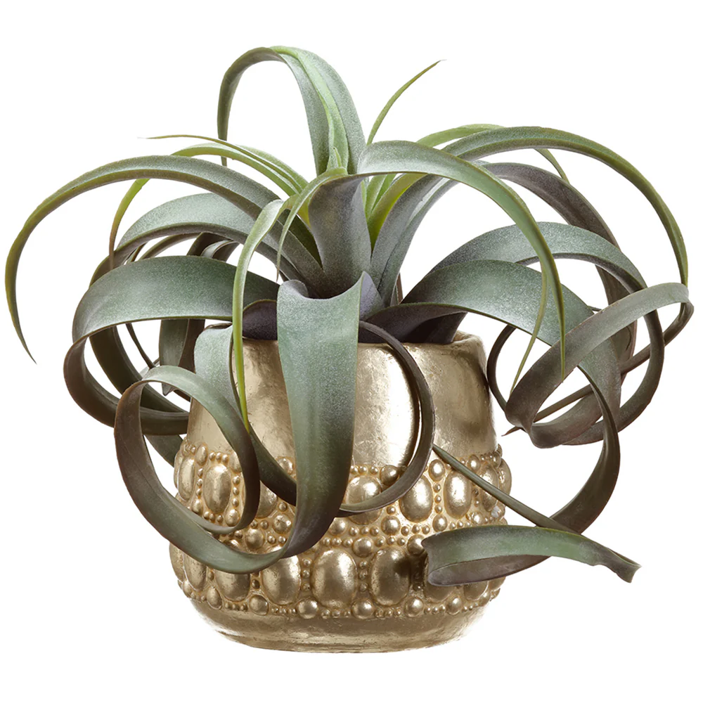 11"Hx14"W Artificial Tillandsia Plant w/Cement Pot -Green/Burgundy