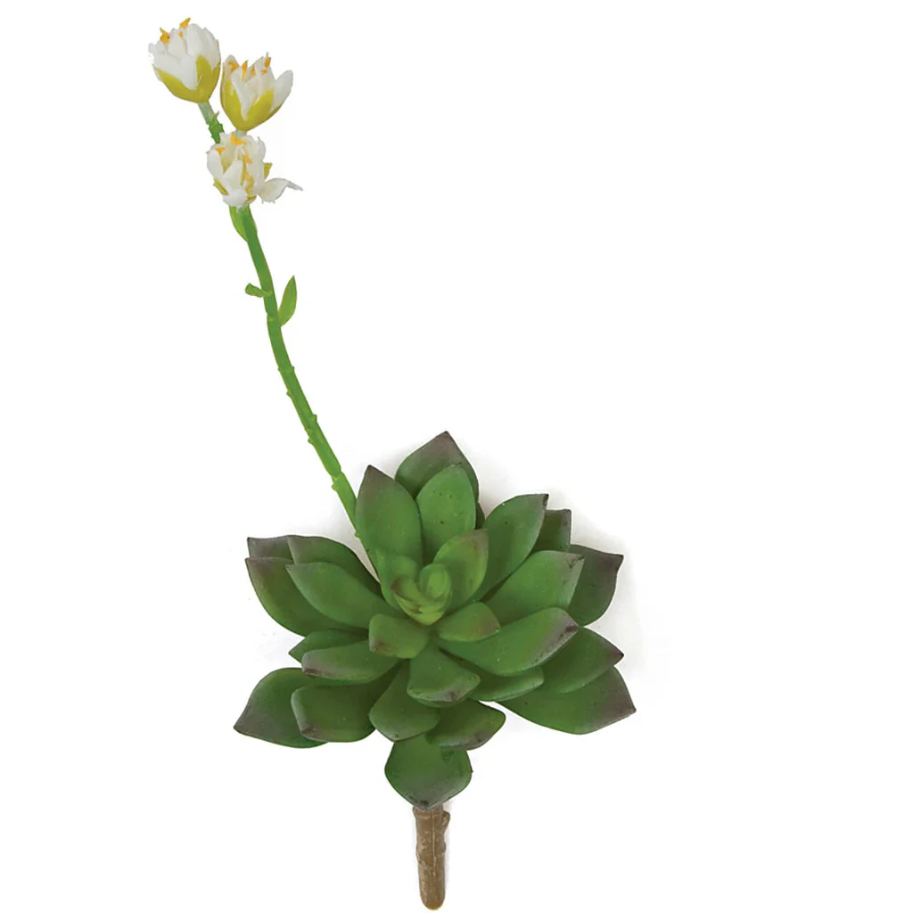 11"HX4.5"W Artificial Flowering Echeveria Stem -White/Green (Pack of 12)