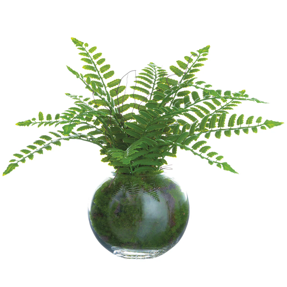 12" Boston Fern Leaf Silk Plant w/Glass Vase -Green