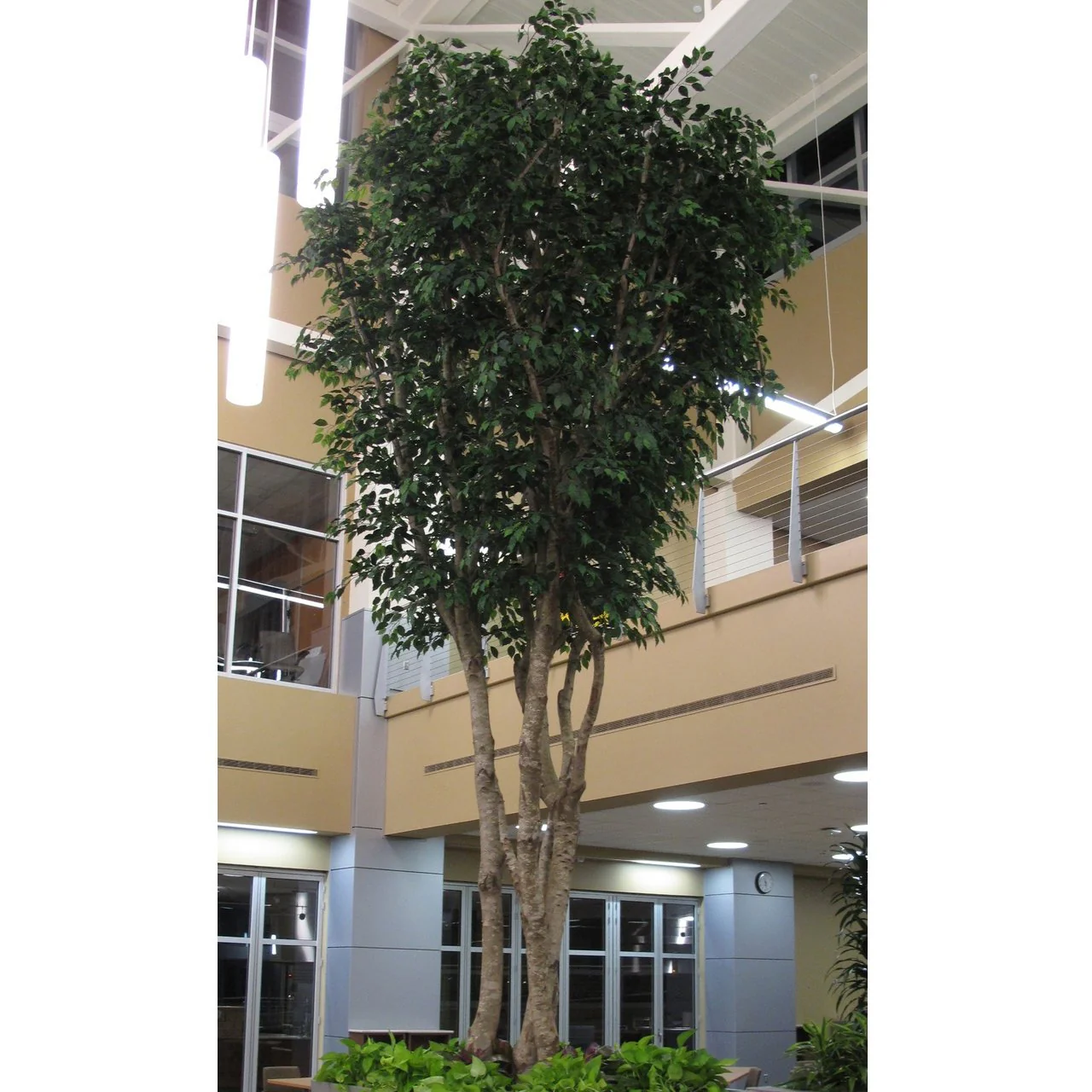 12' Custom-Made Commercial Artificial Ficus Tree w/Pot -Green