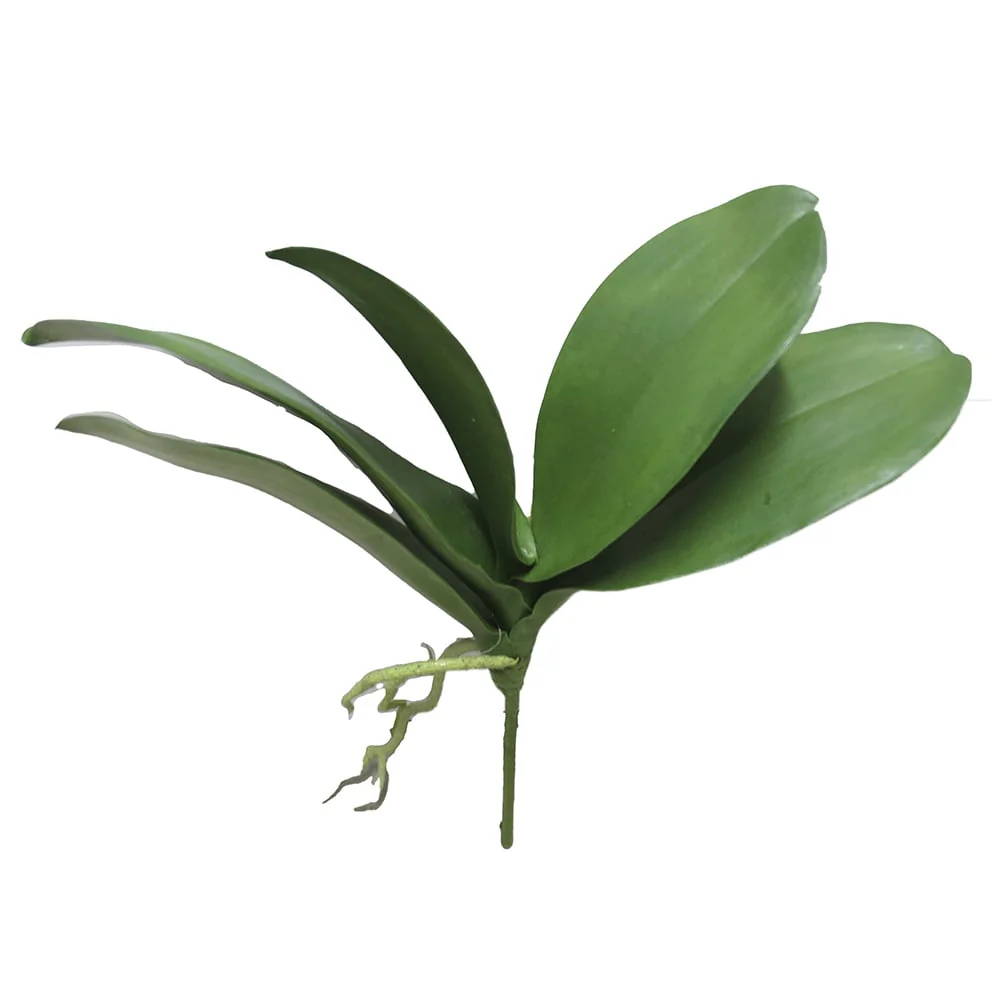 12" Hand-Wrapped Silk Phalaenopsis Orchid Leaf Plant Stem w/Roots -Green (Pack of 12)
