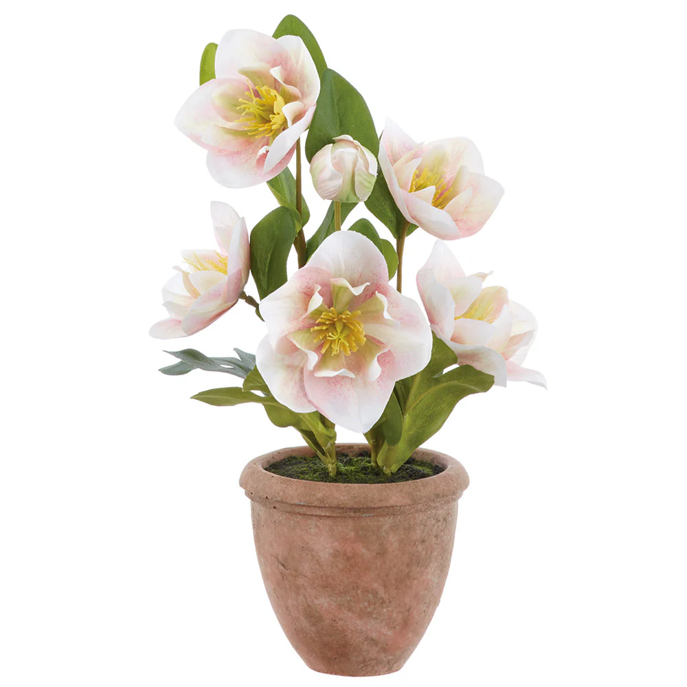 12" Helleborus Silk Flower Arrangement w/Terra Cotta Pot -Pink/Green (Pack of 6)