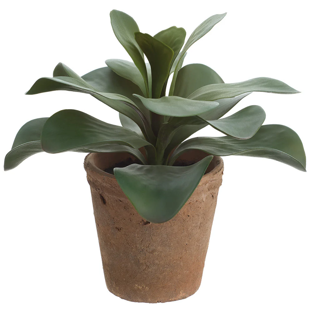 12" Kalanchoe Succulent Artificial Plant w/Clay Pot -Green (Pack of 4)