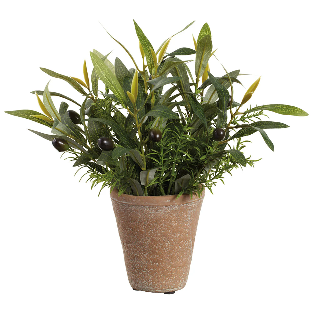 12" Mixed Olive & Rosemary Herb Silk Plant w/Cement Pot -Green (Pack of 4)
