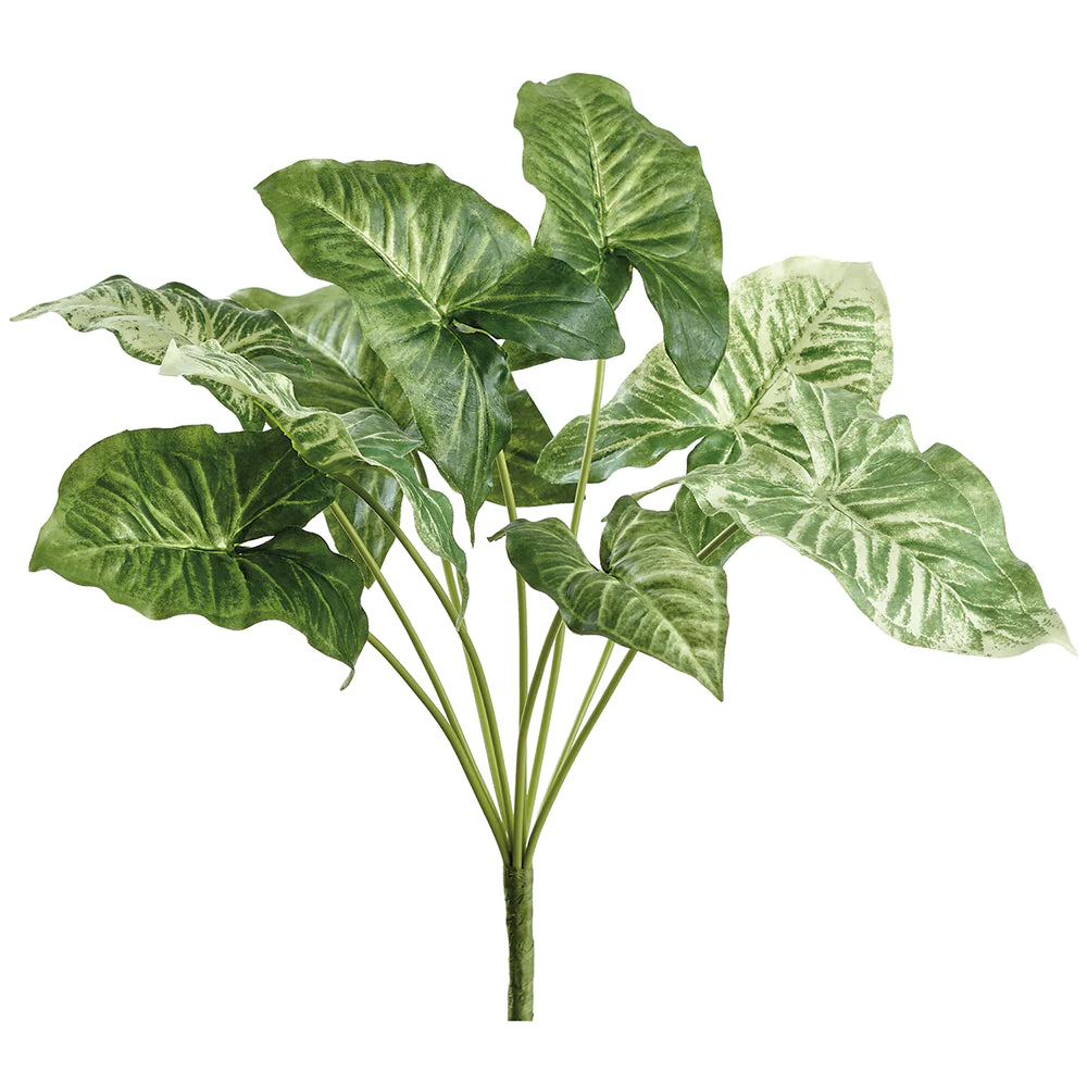 12" Nephthytis Leaf Silk Plant -2 Tone Green (Pack of 6)