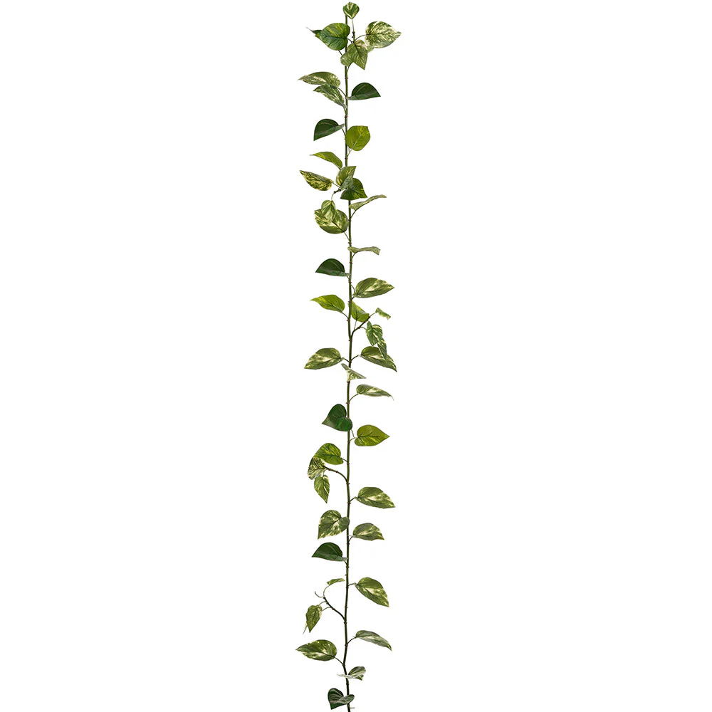 12' Outdoor UV-Resistant Artificial Marble Pothos Leaf Garland -Green/White (Pack of 12)