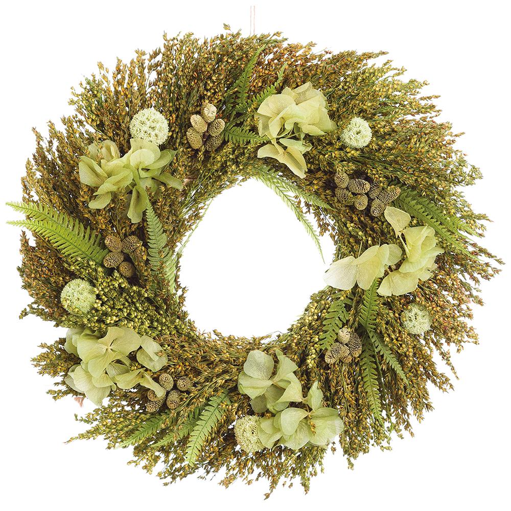 12" Preserved Hydrangea Flower, Allium & Fern Leaf Wreath -2 Tone Green - Image 2