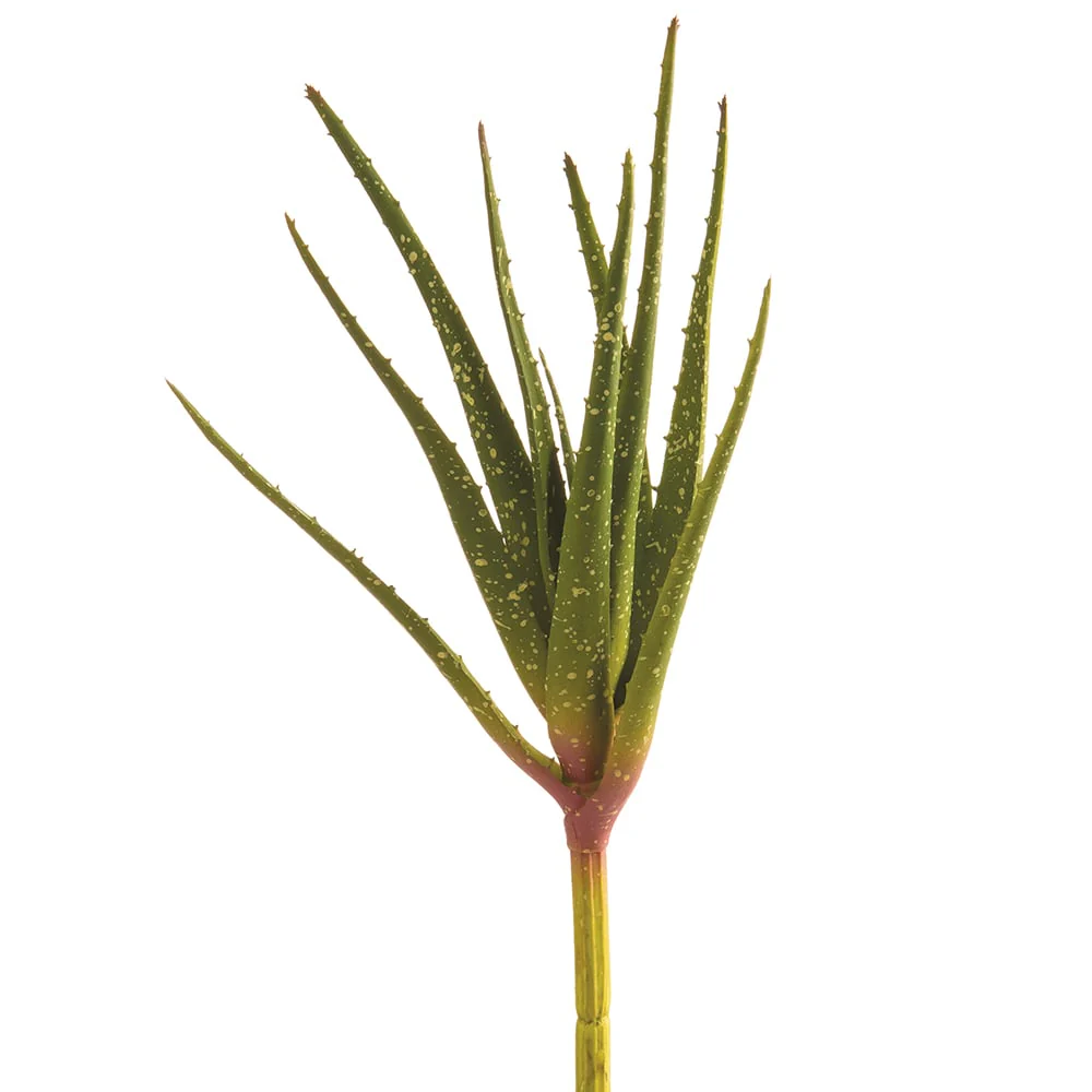 12" Real Touch Artificial Aloe Stem Pick -Green (Pack of 12)
