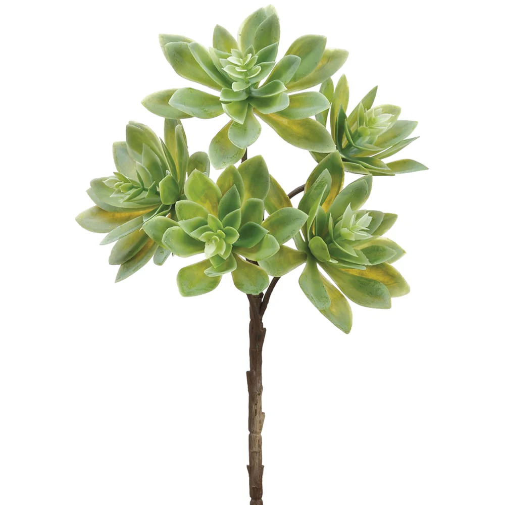 12" Real Touch Artificial Echeveria Stem Pick -Green (Pack of 12)