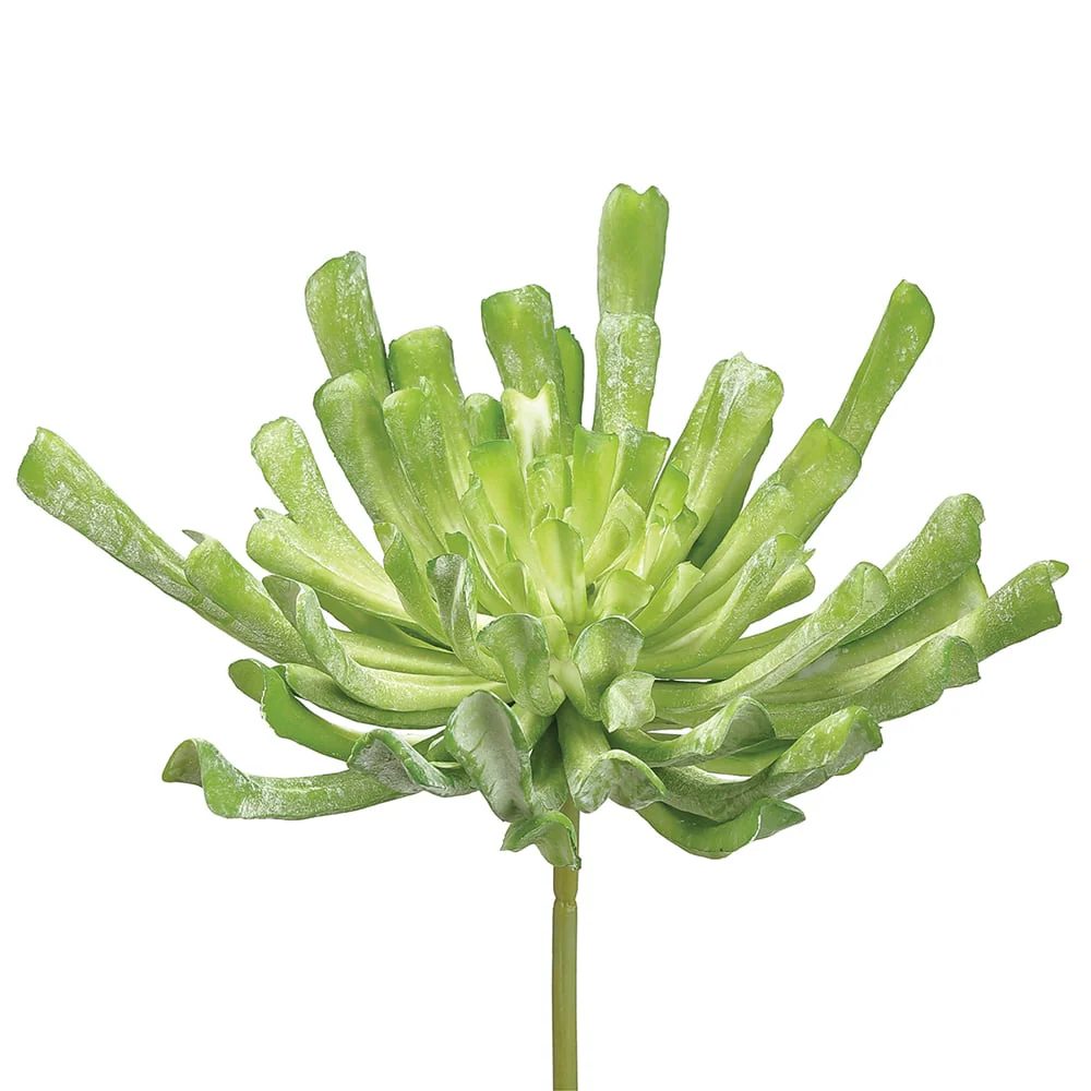 12" Real Touch Large Artificial Aeonium Stem Pick -Green/Flocked (Pack of 6)