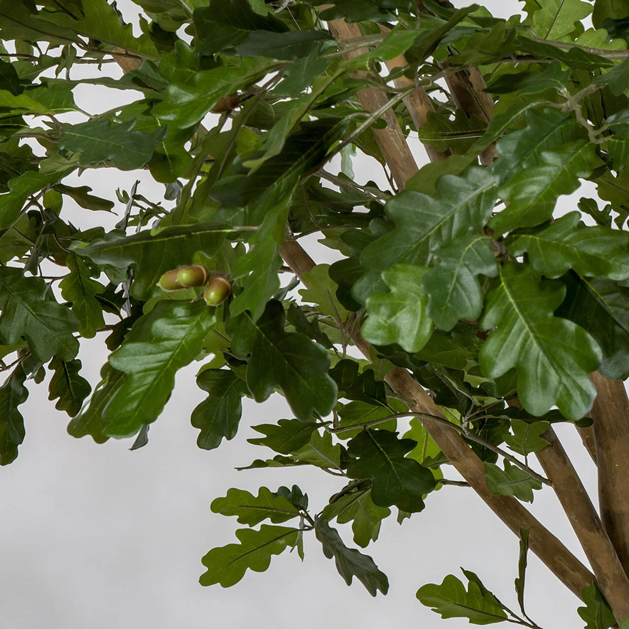 12' Silk Oak Tree With Acorns w/Base -Green - Image 3