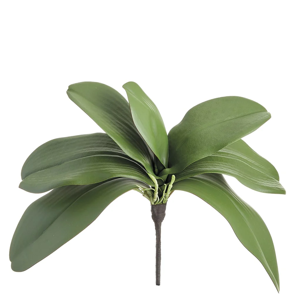 12" Soft-Touch Hand-Wrapped Phalaenopsis Orchid Leaf Silk Plant Stem -Green (Pack of 12)