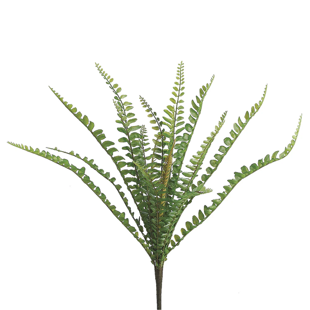 12" Sword Fern Silk Plant -Green (Pack of 24)