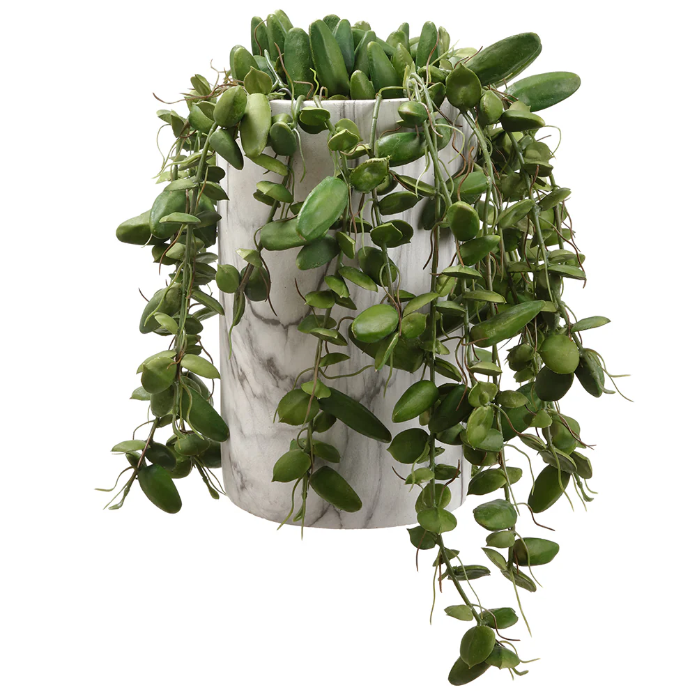 12"Hx12" Hanging Artificial Dischidia Succulent Ant Plant w/Planter -Green
