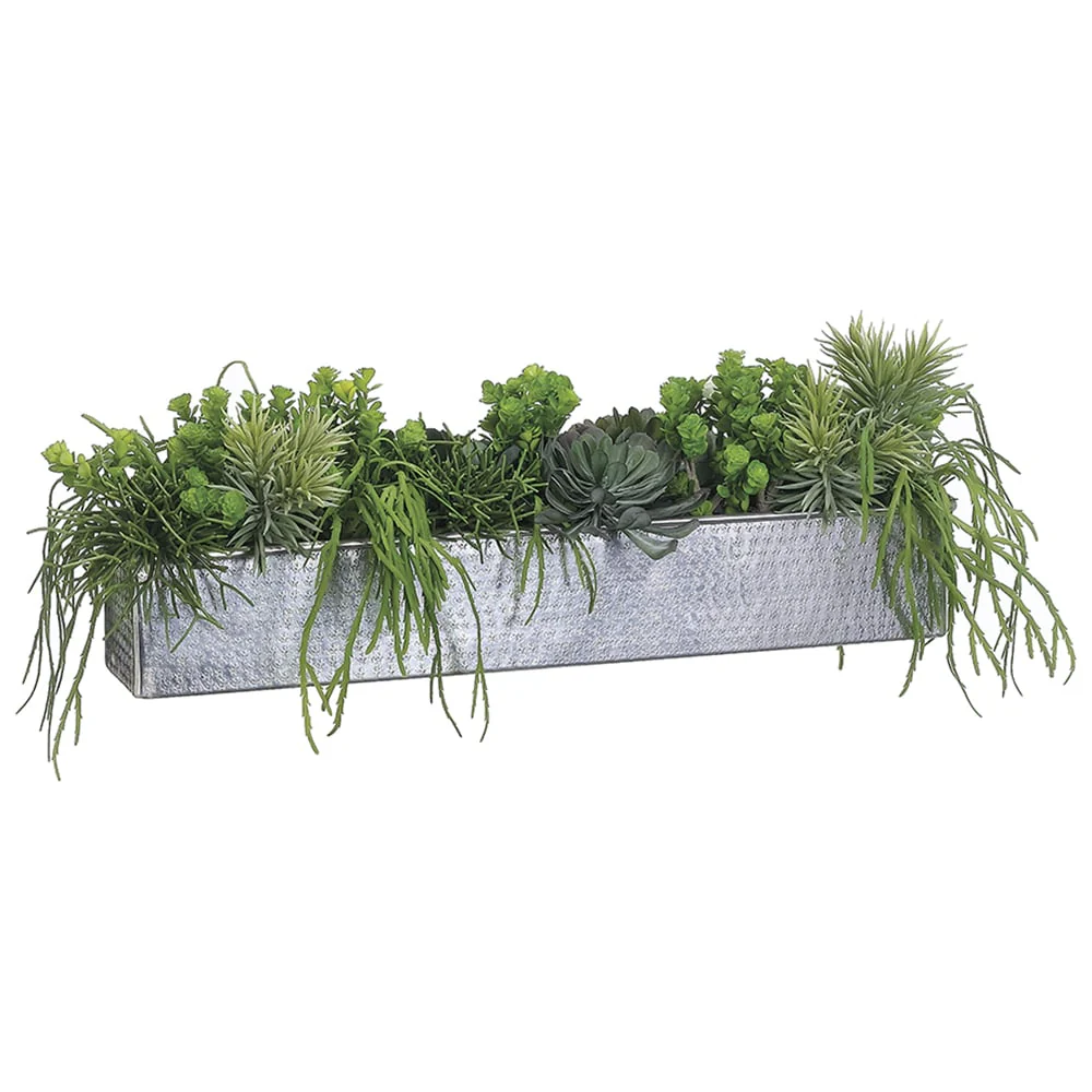 12"Hx33"W Aeonium & Cactus Mix Artificial Plant w/Rectangle Planter -Green