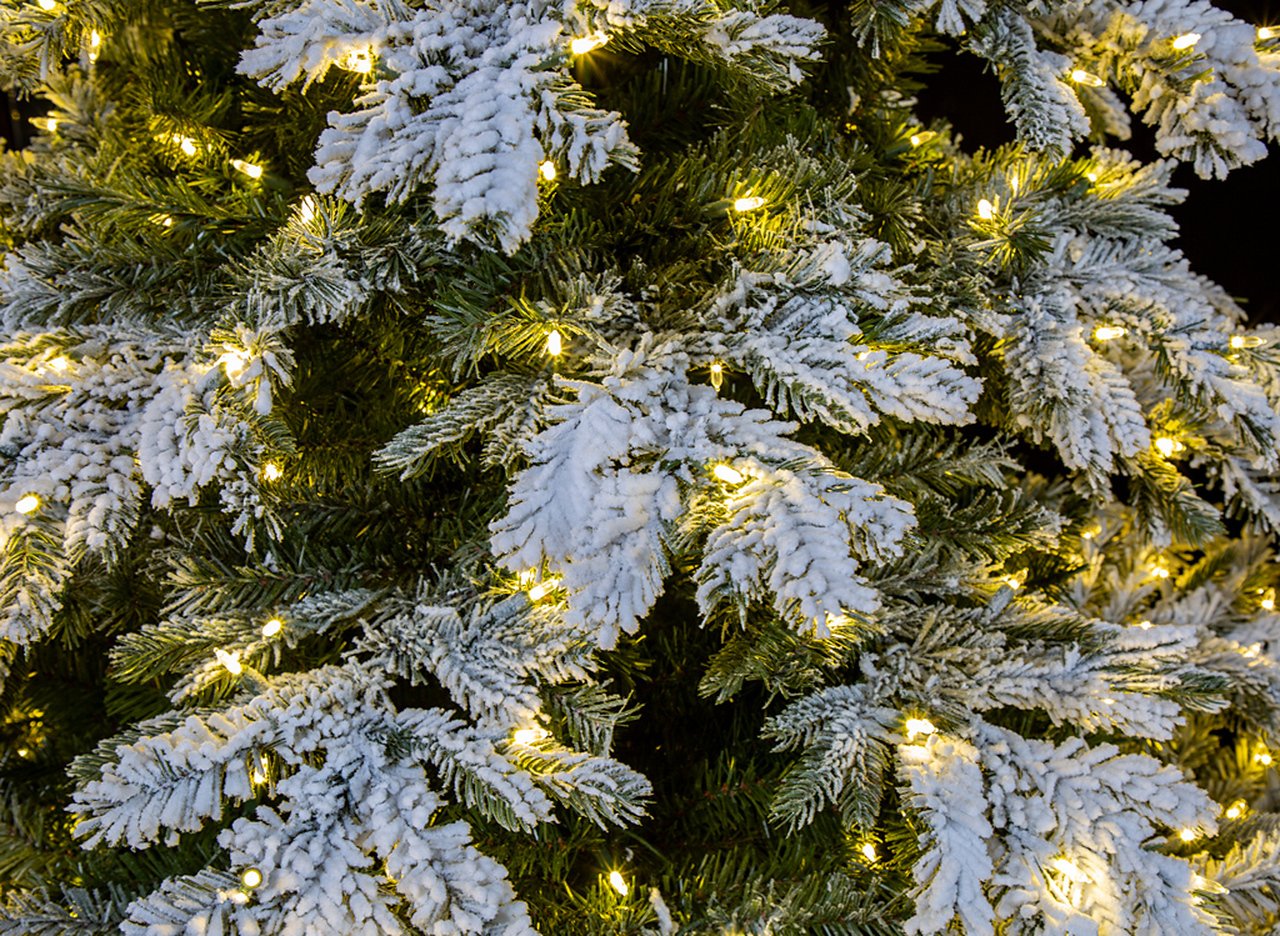 12'Hx84"W PE Frosted Black Mountain Spruce Artificial Christmas Tree, LED Pre-Lit -White/Green - Image 2