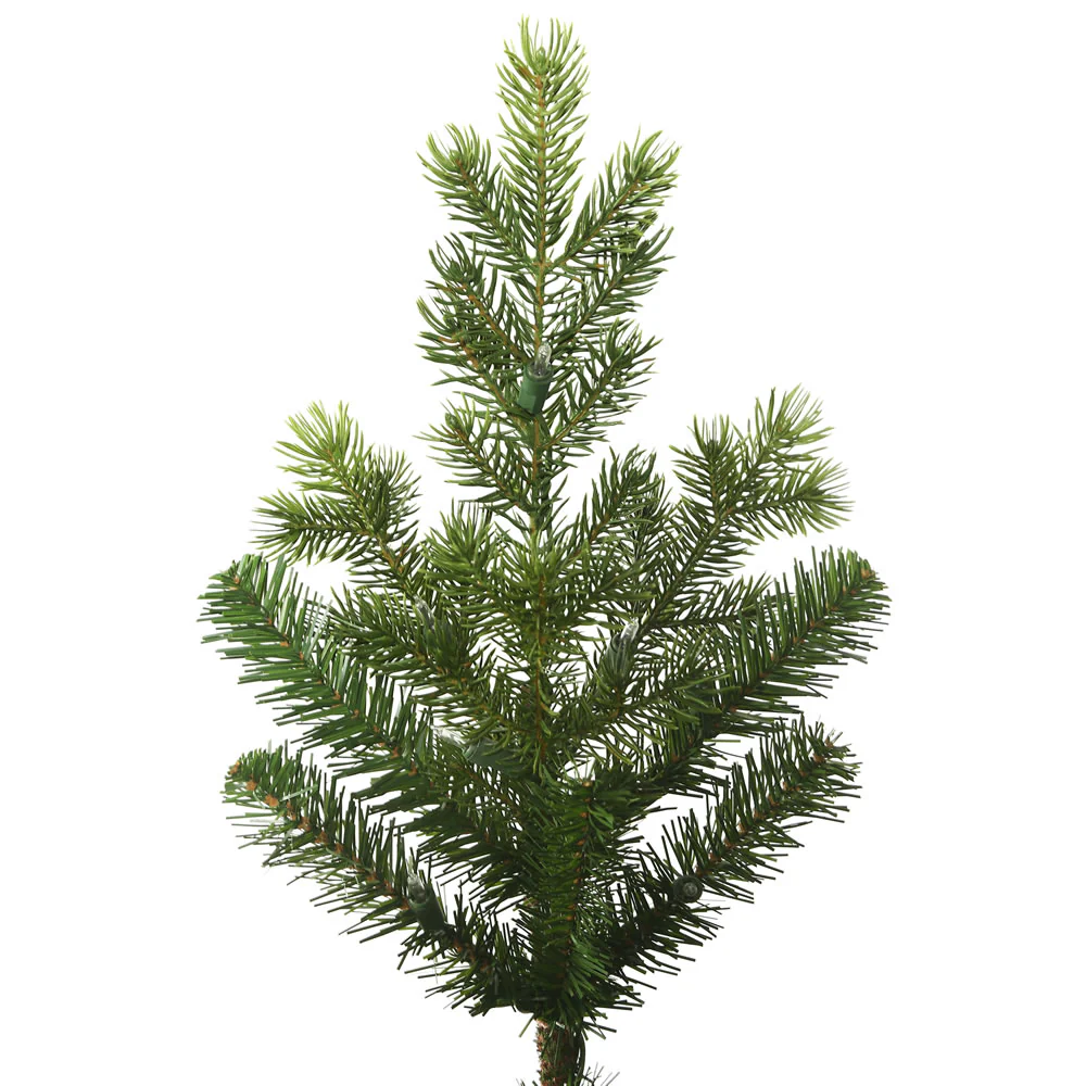 12'Hx85"W PE Eagle Fraser Artificial Christmas Tree, Unlit -Green - Image 2