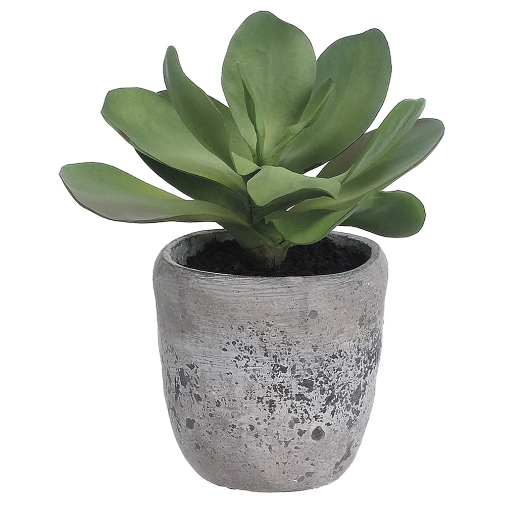 12"Hx9"W Kalanchoe Artificial Plant w/Cement Planter -Green
