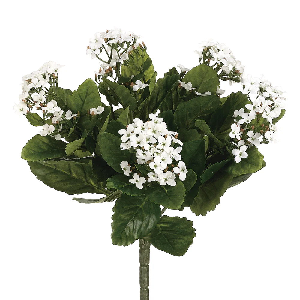 13.5" Silk Kalanchoe Flower Bush -White (Pack of 6)