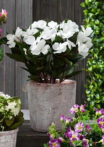 13.5" Silk New Guinea Impatiens Flower Bush -White (Pack of 6) - Image 2