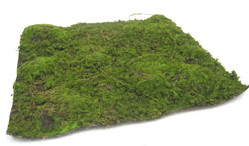 13.5"x13.5" Plastic Moss Artificial Mat -Green/Brown (Pack of 4) - Image 2