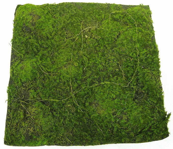 13.5"x13.5" Plastic Moss Artificial Mat -Green/Brown (Pack of 4) - Image 3