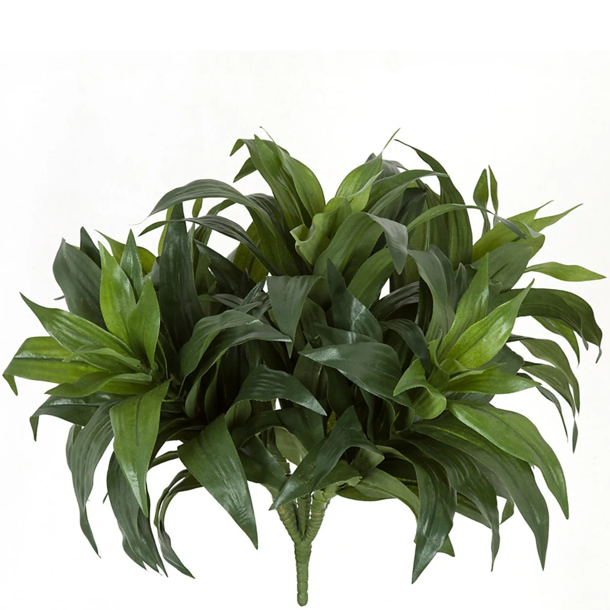 13" IFR Dracaena Fragrans Leaf Artificial Plant -2 Tone Green (Pack of 4)