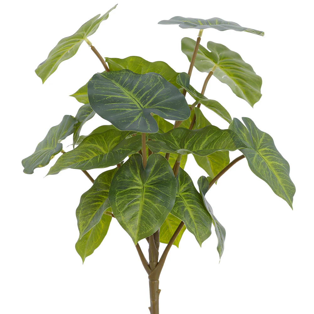 13" Nephthytis Leaf Silk Plant -2 Tone Green (Pack of 6)