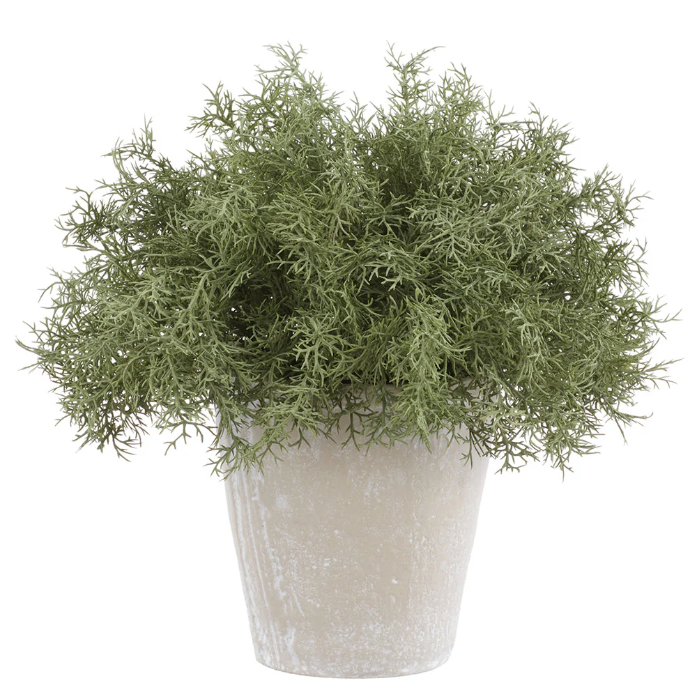 13" PE Sprengeri Fern Artificial Plant w/Cement Pot -Green/Gray (Pack of 2)