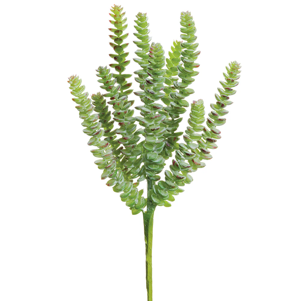 13" Real Touch Artificial Donkey Tail Succulent Stem Pick -Green/Gray (Pack of 6)